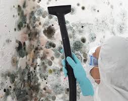 Mold Remediation for Vacation Homes in Bardmoor, FL